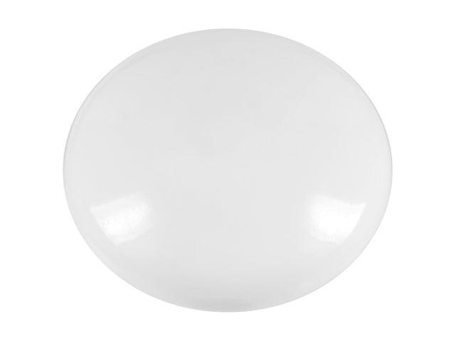 Magneet Westcott wit pak à 10st. Ø 25x11,8mm, 300g