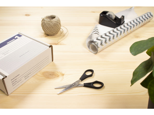 Schaar Westcott Buro RVS 13cm kunststof grip in zak