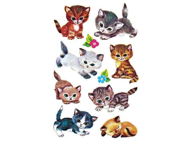 papieretiket Z-design Kinderpakje a 3 vel katten