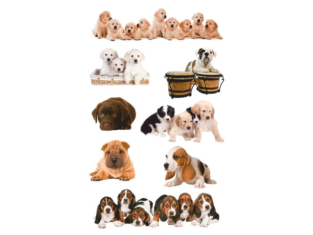 papieretiket Z-design Kinderverpakking a 3 vel honden foto