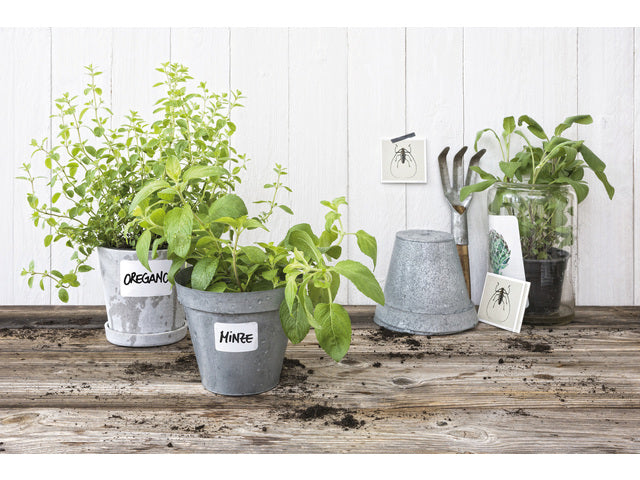 weerbestendig etiket Avery NP 99,1x139mm 20 vel 4 etiketten per vel