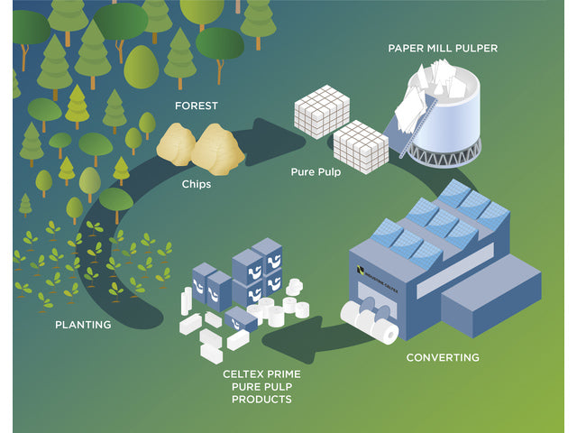 Handdoek Celtex MM Omnia Labor V-vouw 2-laags wit doos 8 pak a 300 vel 25 x 30 cm