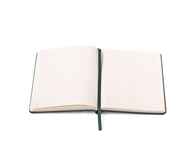 Notitieboek Èccolo Green Palms lijn ca.15x20cm 80gr. 256 Seiten.