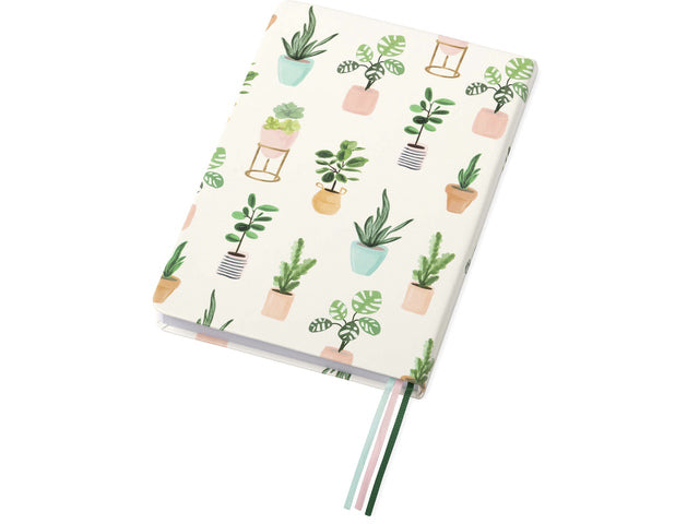 Notitieboek Èccolo Succulent lijn ca.15x20cm 80gr. 256 Seiten.