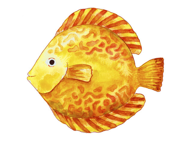 Aquarelpotlood Faber-Castell etui a 12 stück + stift