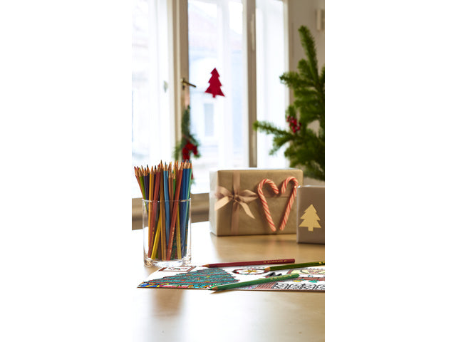 Kleurpotloden Faber-Castell zeskantig in kartonnen etui a 12st.