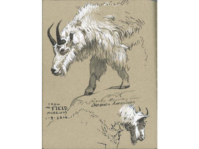 Tekenstift Faber-Castell Pitt Artist Pen B 101 weiß