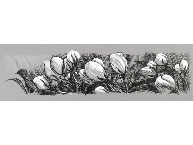 Tekenstift Faber-Castell Pitt Artist Pen 1,5 101 wit