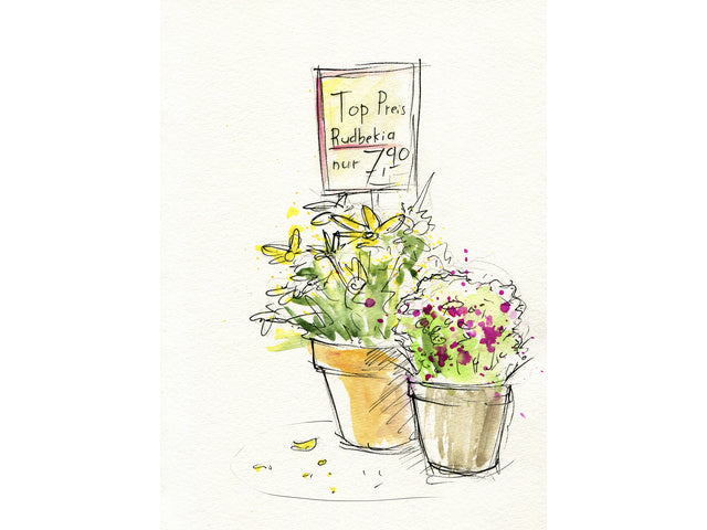 Waterverf Faber-Castell in box met 48 kleuren