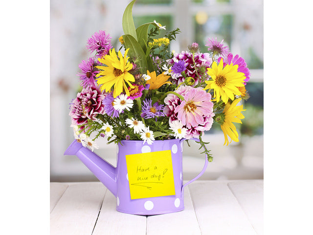 Info Notes 75x75mm assorti spring pak a 6 blok