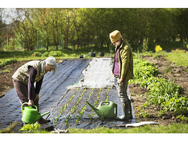 Worteldoek TerCasa zwart 20m2 100g/m2 gevouwen