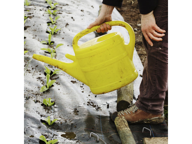 Grondpennen TerCasa RVS 30x150mm 100 stuks