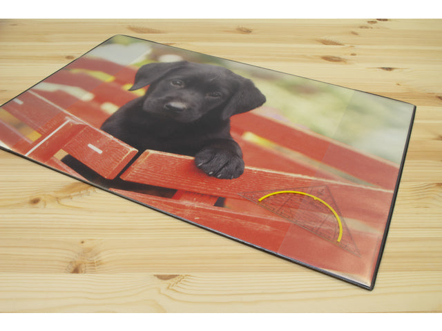 Bureauonderlegger Kangaro PP 38x58cm Dessin Labrador Schwarz