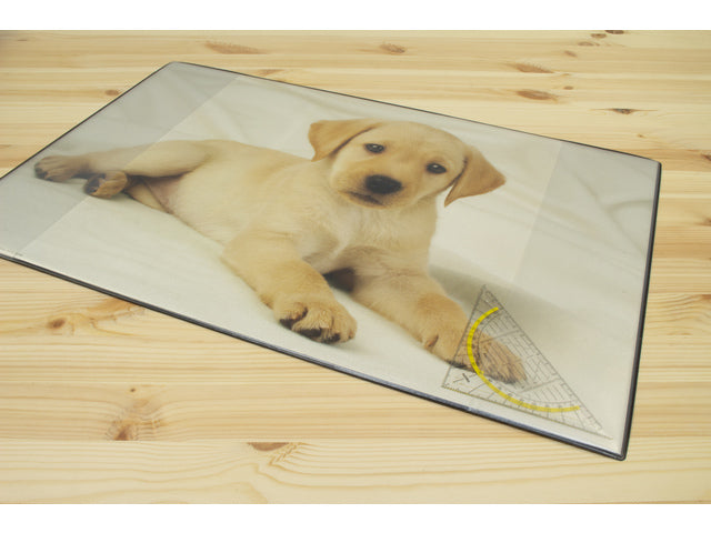 Bureauonderlegger Kangaro PP 38x58cm Dessin Labrador weiß