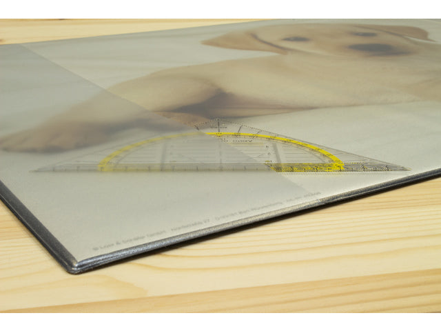 Bureauonderlegger Kangaro PP 38x58cm Dessin Labrador weiß