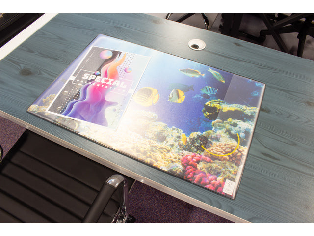 Bureauonderlegger Kangaro PP 38x58cm dessin aquarium