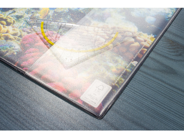 Bureauonderlegger Kangaro PP 38x58cm dessin aquarium