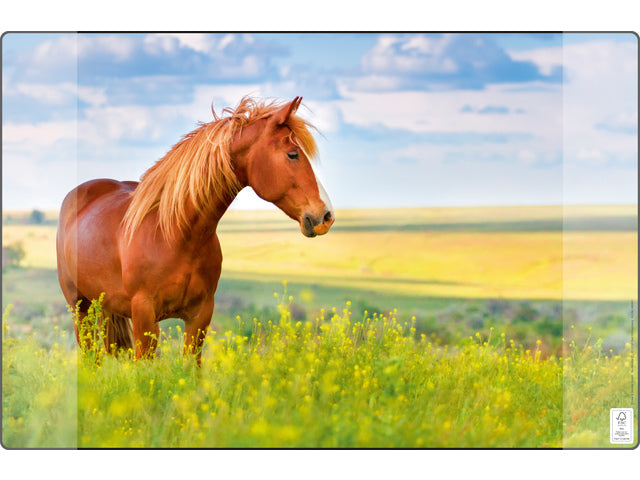 Bureauonderlegger Kangaro PP 38x58cm Pferd