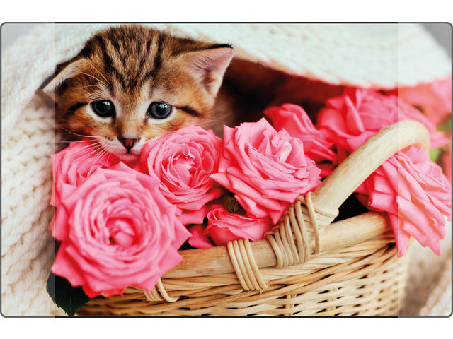 Bureauonderlegger Kangaro PP 38x58cm Kätzchen