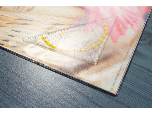 Bureauonderlegger Kangaro PP 38x58cm Kätzchen