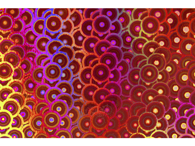 Holografisch karton Kangaro pak 10 vel A4 ass(1) 300 gram mix 1