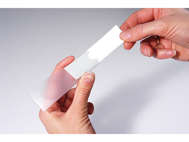 Etikettenhouder Kangaro zelfklevend 25x75 mm pak à 12 stuks