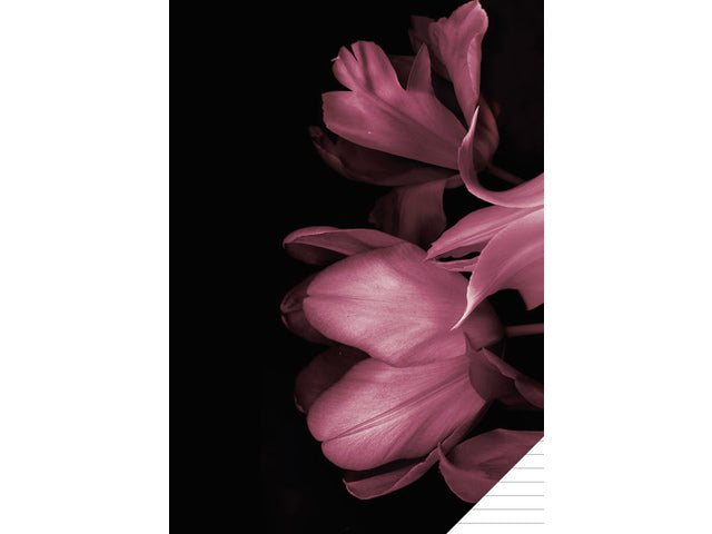 Schriftzug Classy Black A4 Linie