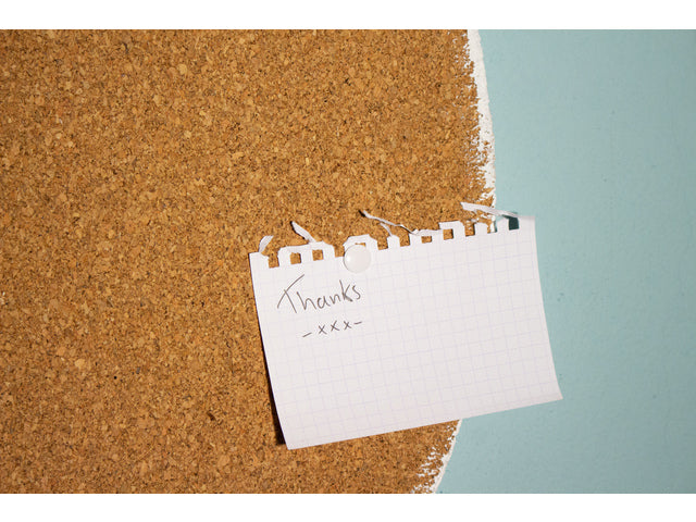 Punaise Kangaro witte kap. 100 stuks in doosje.