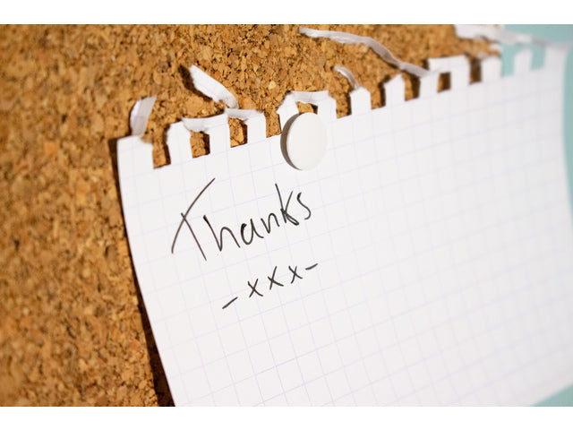 Punaises Kangaro witte kop 240 stuks in plastic hangdoosje