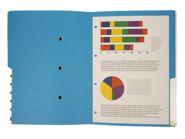 Sorteermap Kangaro 12 tabbladen