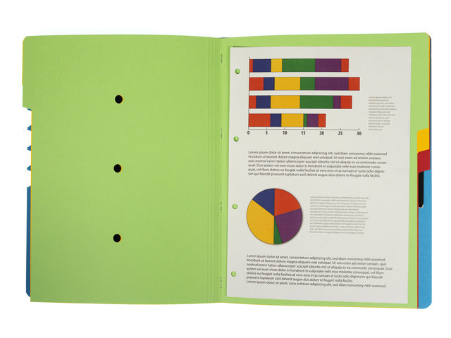 Sorteermap Kangaro 7 tabbladen