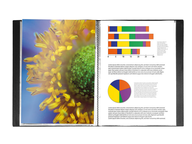 Showalbum Kangaro A5, PP 0.5mm, 20 tassen, zwart met insteektas op voorkant