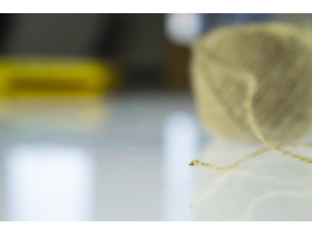 Binden Sie Kangaro in 3 Rollen mit einer Länge von 50 Metern