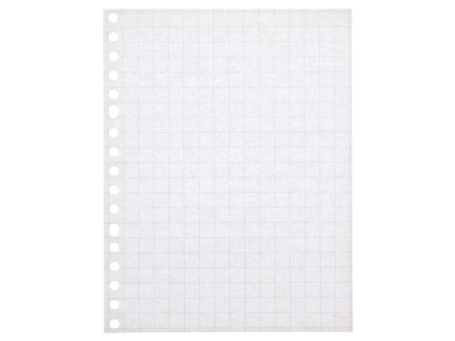 Ringbandinterieur Kangaro A5 ruit 10mm 17-gaats 60 gram 100 blad