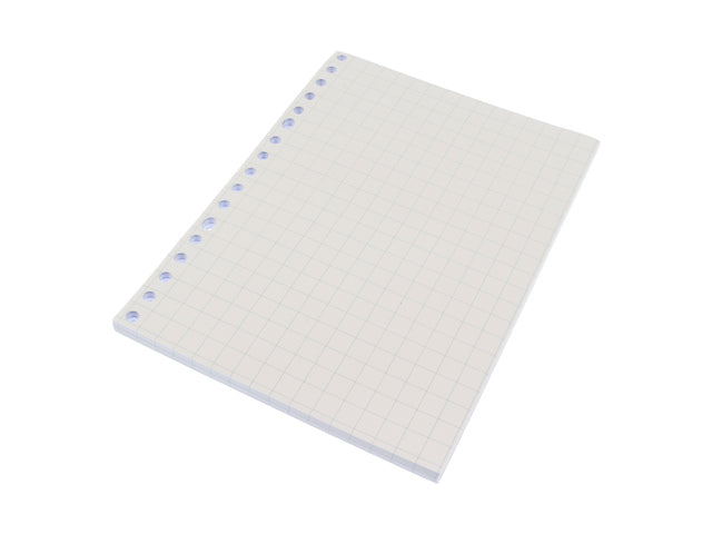 Ringbandinterieur Kangaro A5 ruit 10mm 17-gaats 60 grams 100 blad