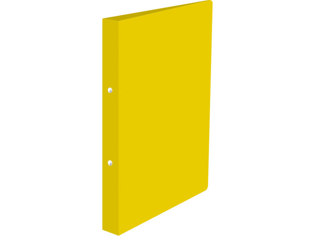 Ringband 2-ringen, A4 formaat, doos van 24 stuks. Los in doos.