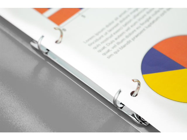 Ringband Kangaro 16 mm 2-ringen, A4 formaat. Vervaardigd van PP. 30 stuks assorti kleuren