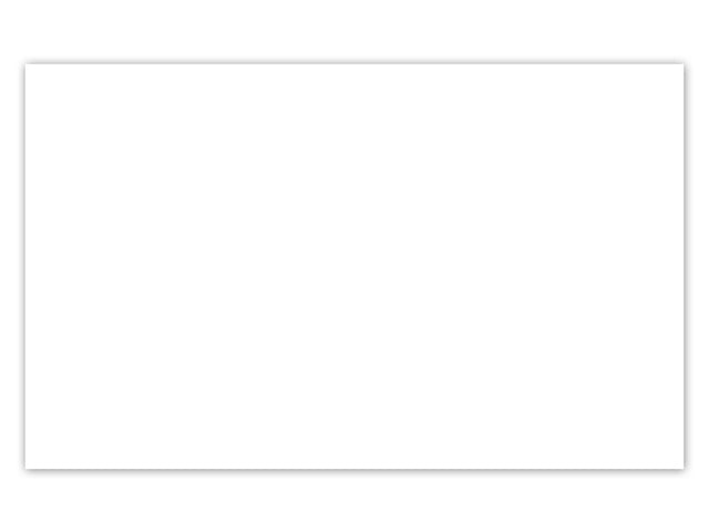 Systeemkaart Kangaro 80x130mm blanco 190 gram pak a 100 vel