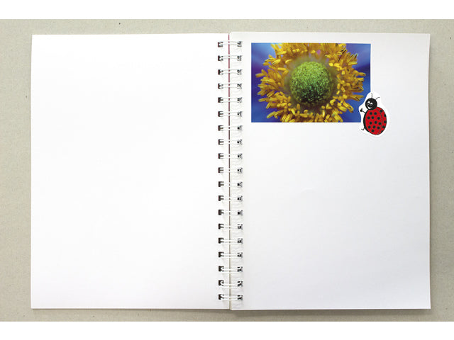 Plakboek Kangaro A5+ 120 grams 40 vel voorkant blauw 25x18cm papier(25x19cm met spiraal)