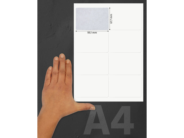 Etiket Kangaro ILK 99,1x67,7mm doos à 100 vel 8 etiketten per A4 vel