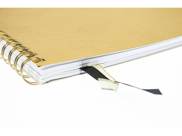 Spiraalboek Pure Croco A4 lijn pak a 5 stuks assorti