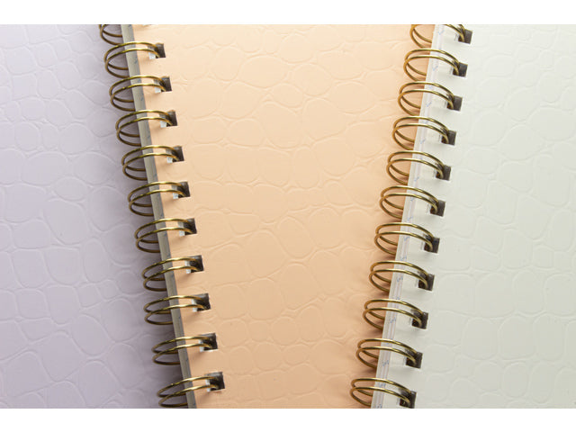 Spiraalboek Pure Croco A5 lijn pak a 5 stuks assorti