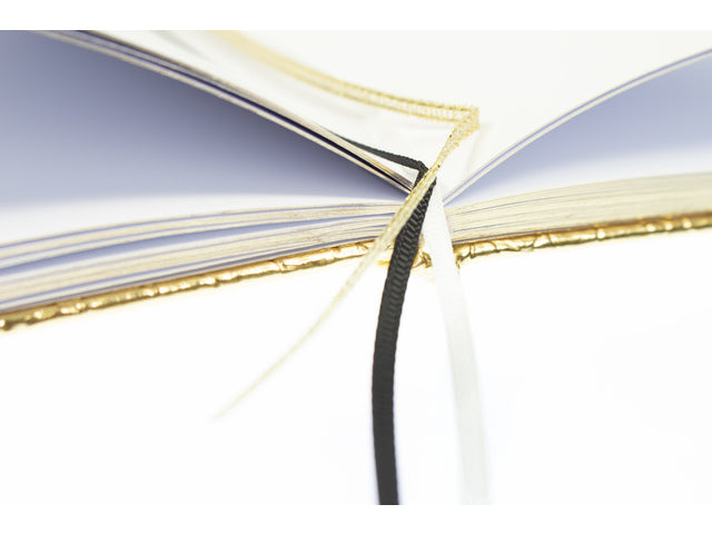 Dummyboek Pure Croco A5 HC pak a 3 stuks assorti