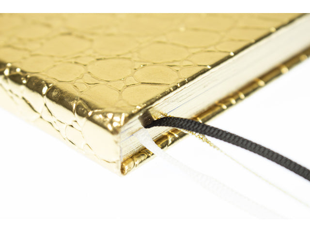 Dummyboek Pure Croco A5 HC pak a 3 stuks assorti