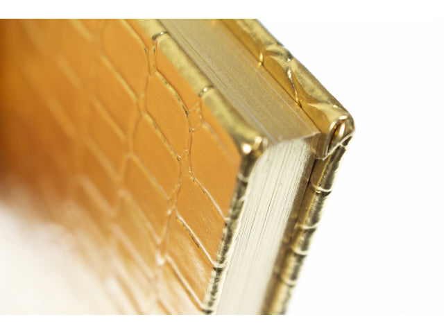 Dummyboek Pure Croco A5 HC pak a 3 stuks assorti