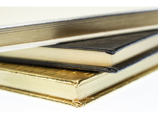 Dummyboek Pure Croco A5 HC pak a 3 stuks assorti