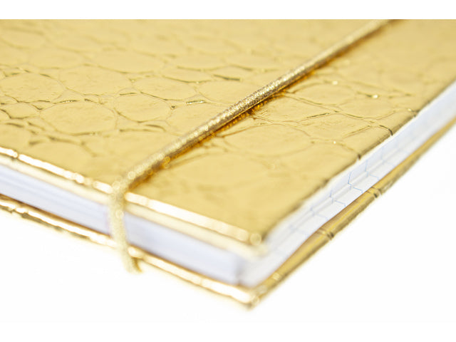 Spiraalboek Pure Croco A5 lijn HC pak a 3 stuks assorti