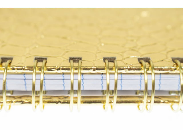 Spiraalboek Pure Croco A5 lijn HC pak a 3 stuks assorti