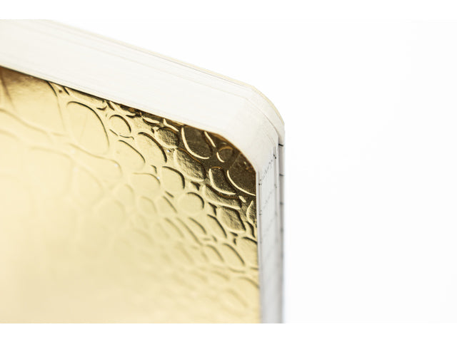 Notitieboek Pure Croco A5 lijn pak a 5 stuks assorti