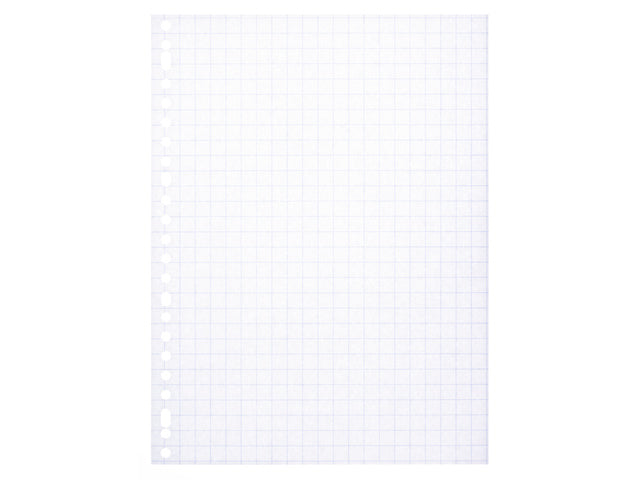 Ringbandinterieur Multo A4 23r ruit 10mm 80 grams 50 vel